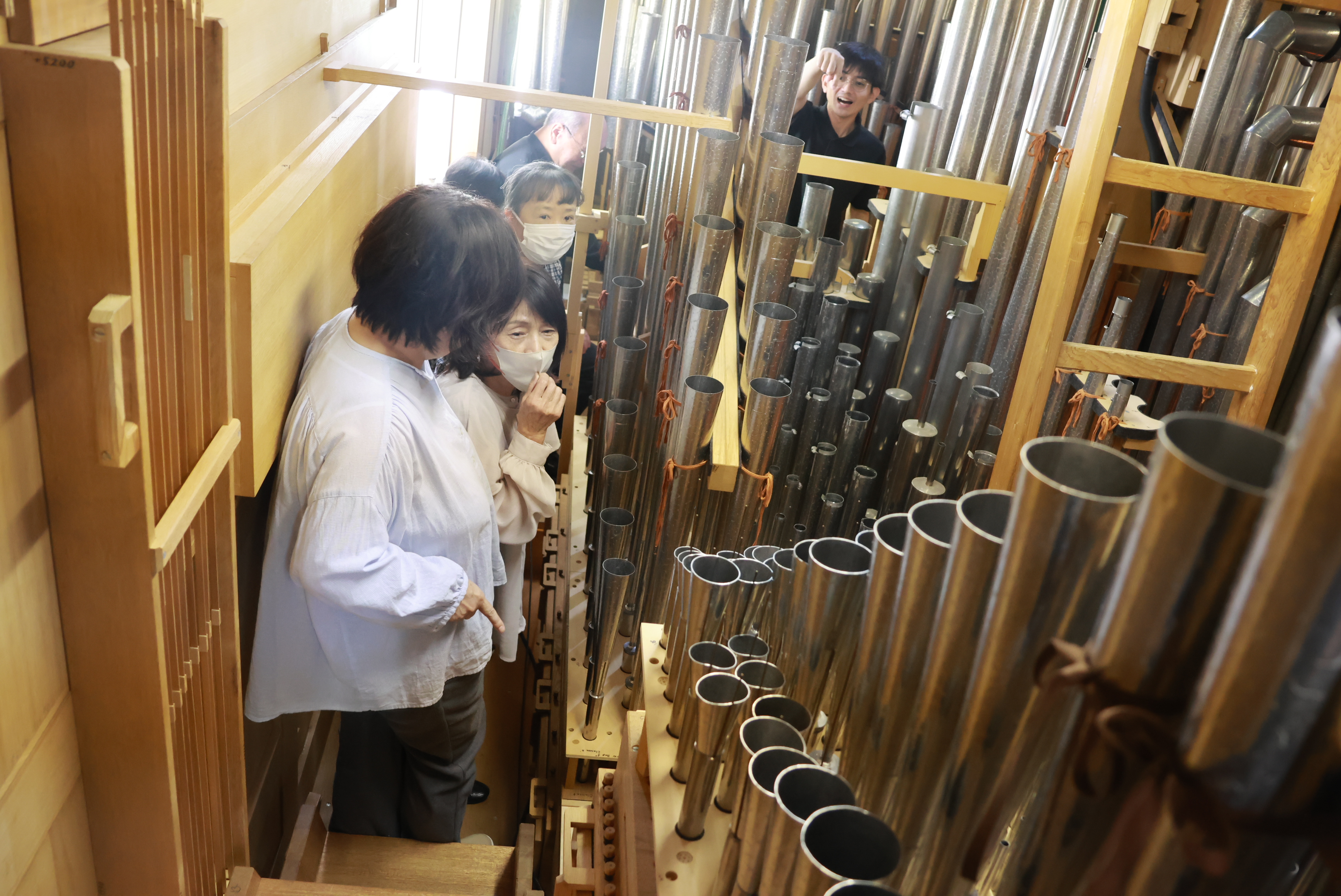 パイプオルガン見学・体験会「オルガンふしぎ発見！」 | メディキット